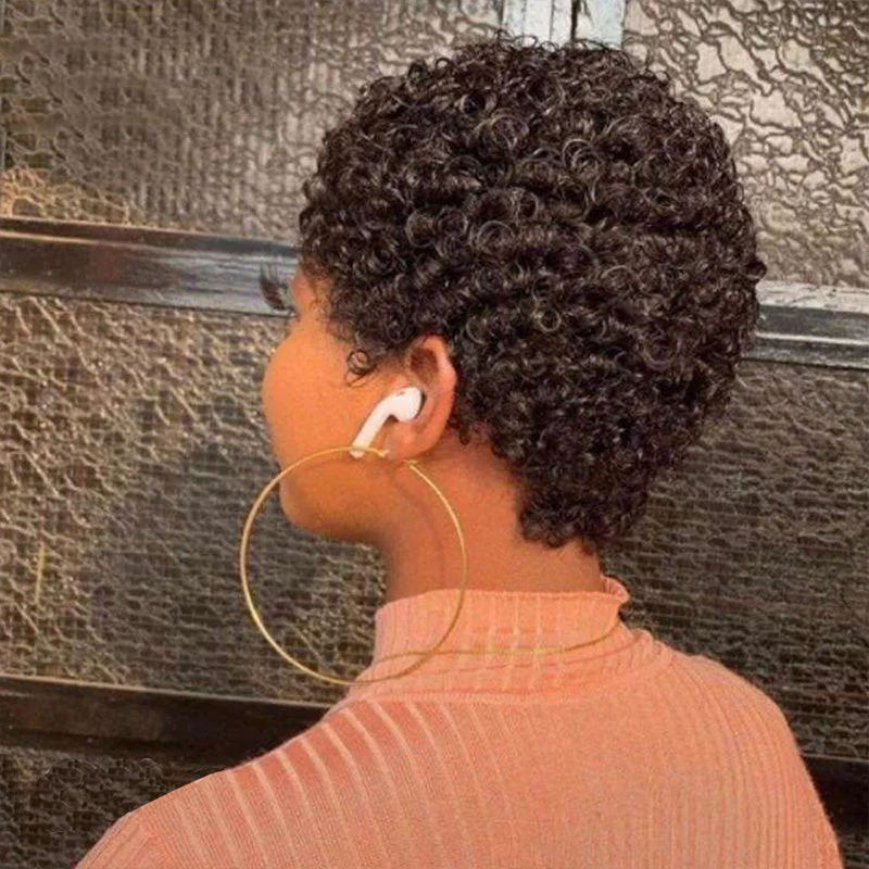 Short Afro Curly Human Hair Wigs for Black Women Short Hairstyles Pixie Cut Wigs with Thin Hair Black Non Lace Hair Wigs